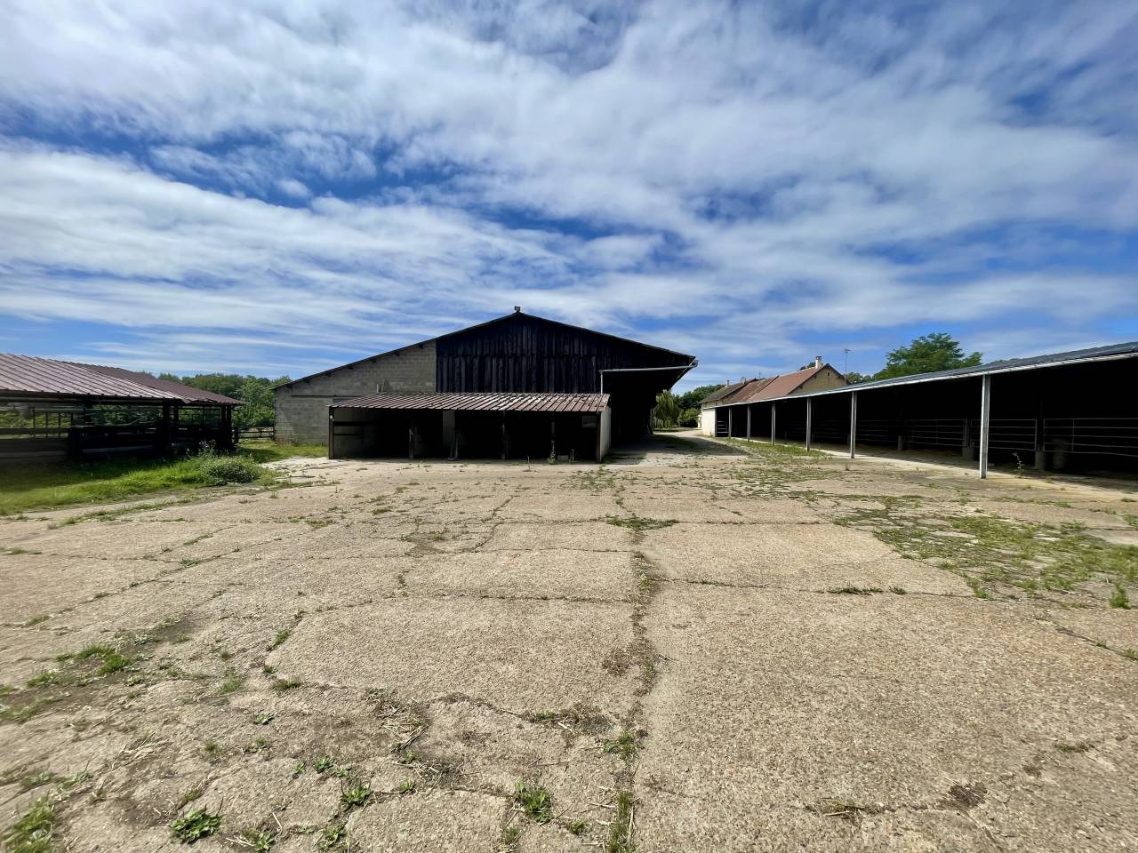 MORTAGNE-AU-PERCHE  – HARAS – 20HA 