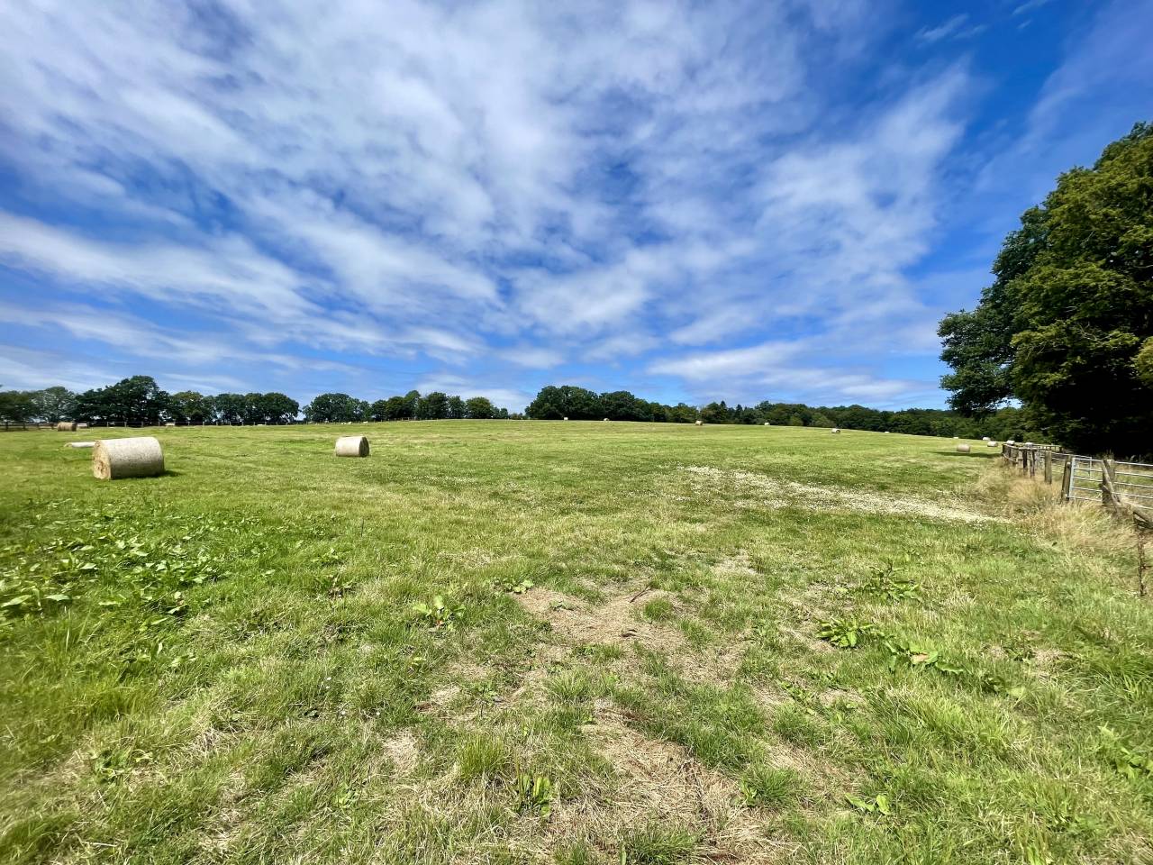 MORTAGNE-AU-PERCHE  – HARAS – 20HA 