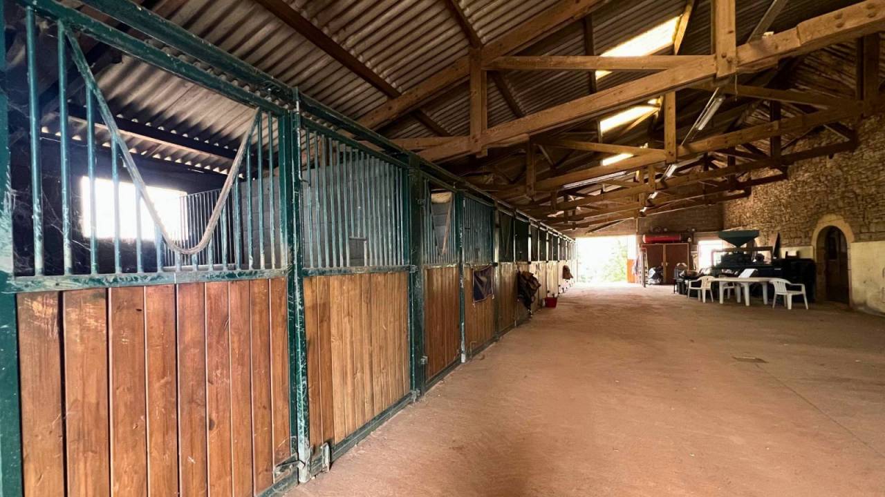 Propriété équestre de 32ha (46)