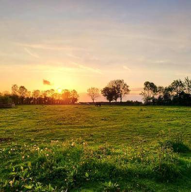 ÉCURIE 2 maneges, carrière, 30 boxes 4ha3
