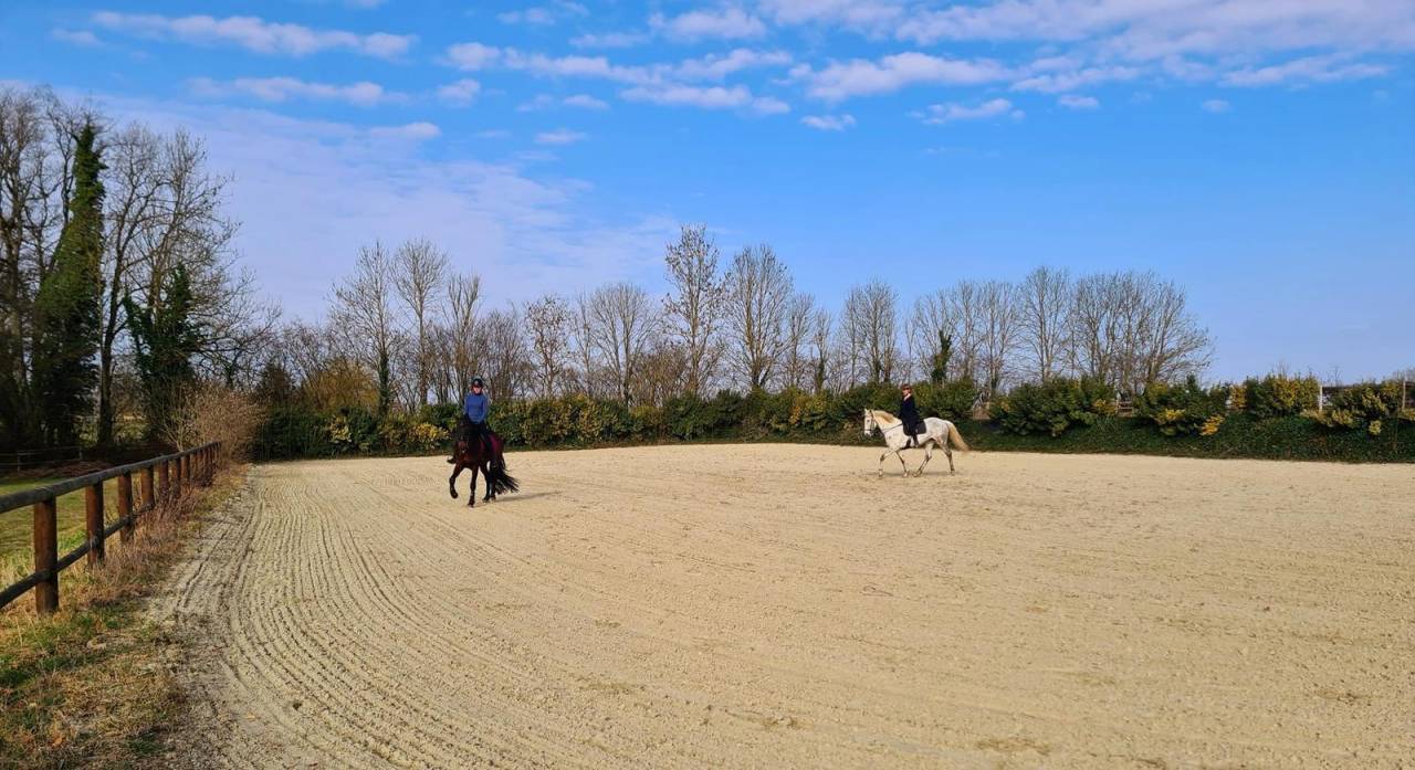 ÉCURIE 2 maneges, carrière, 30 boxes 4ha3
