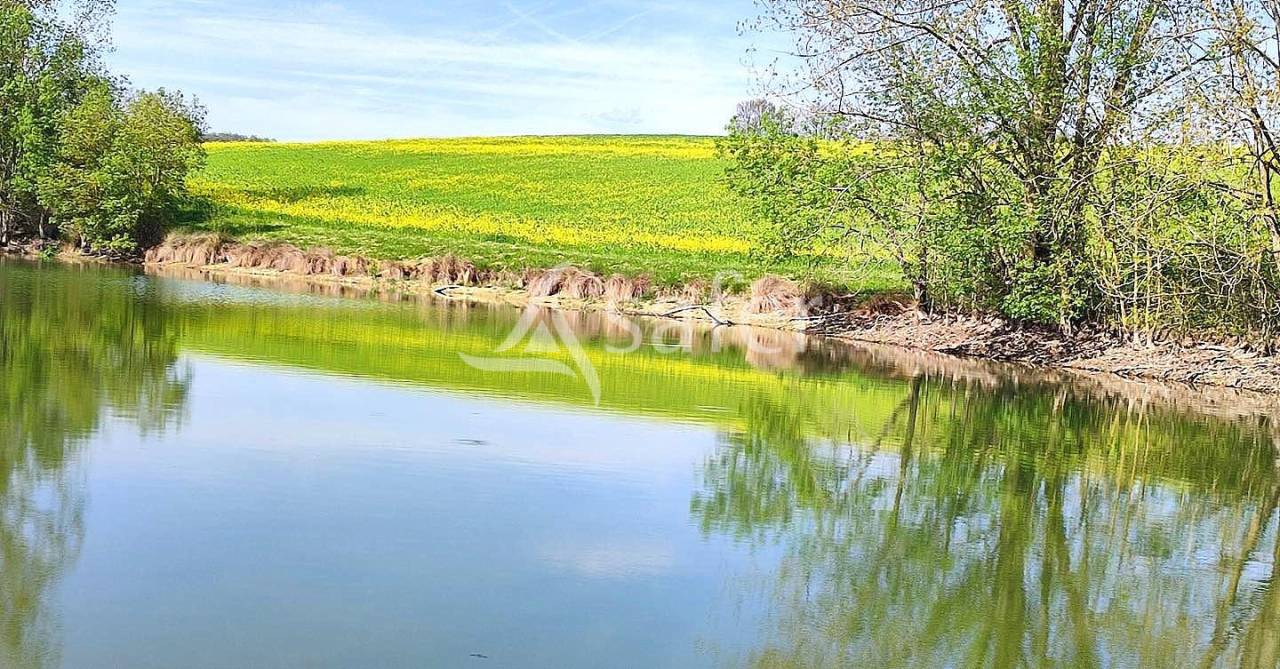 A reprendre en Quercy caussadais, rare et beau Domaine agricole