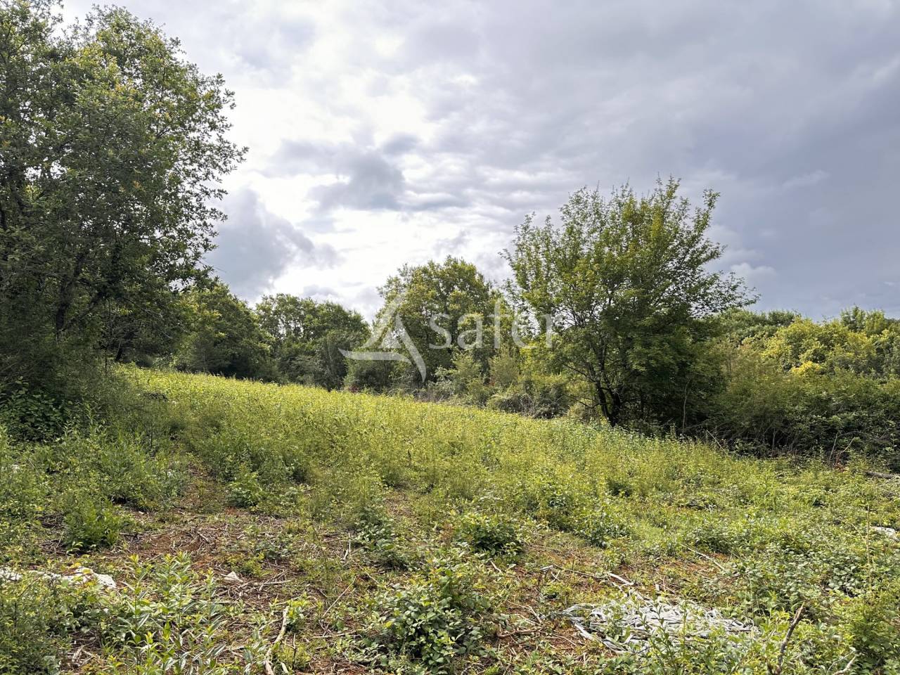 Propri&eacute;t&eacute; avec g&icirc;te sur 4ha