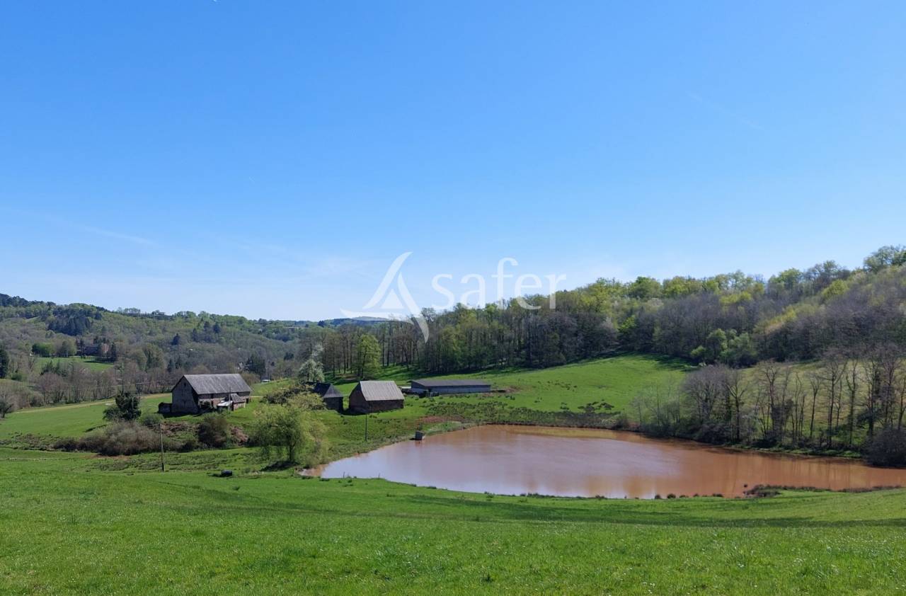 Propriété à rénover sur 60ha avec étang, proche Terrasson