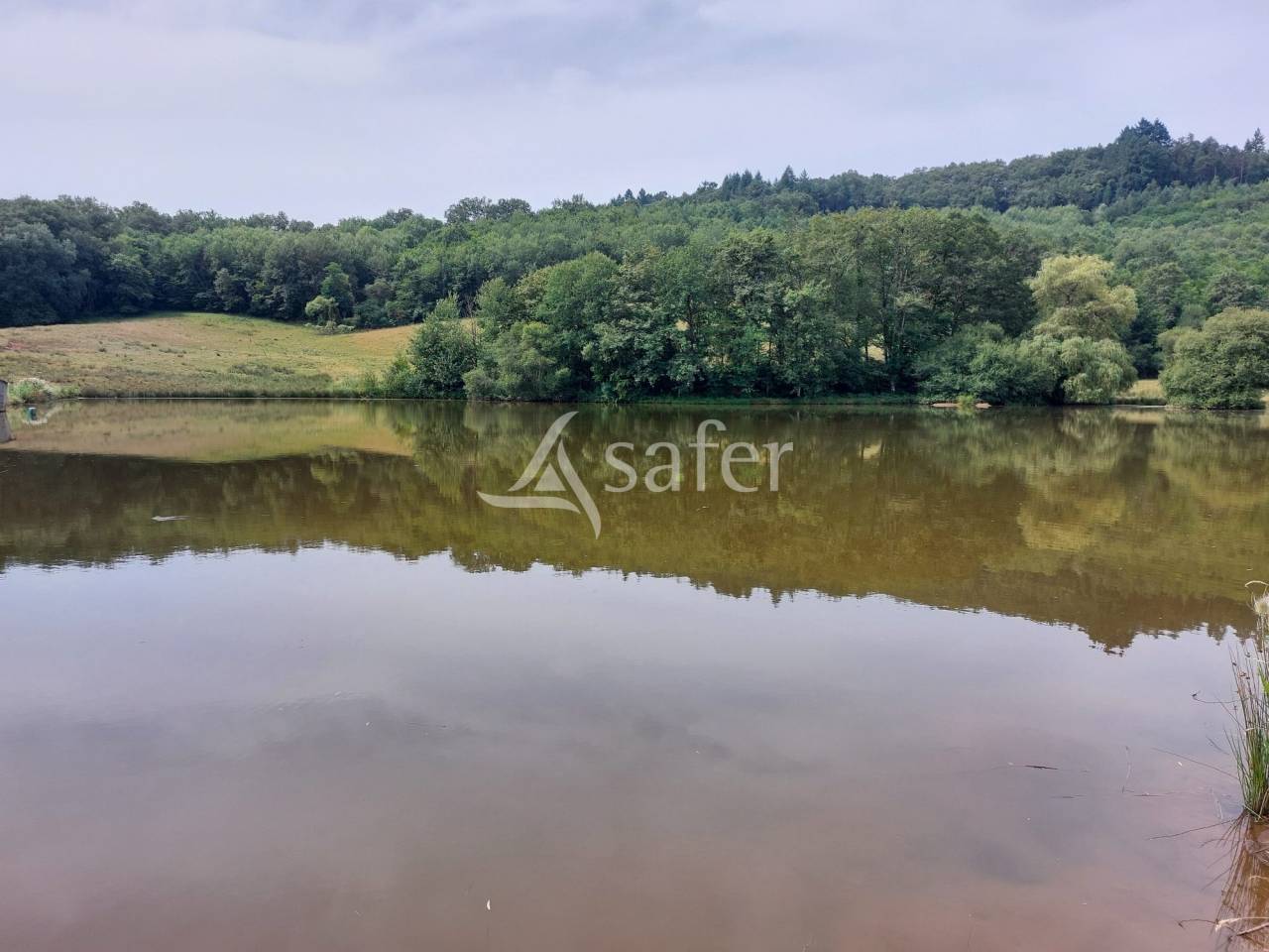 Propriété à rénover sur 60ha avec étang, proche Terrasson