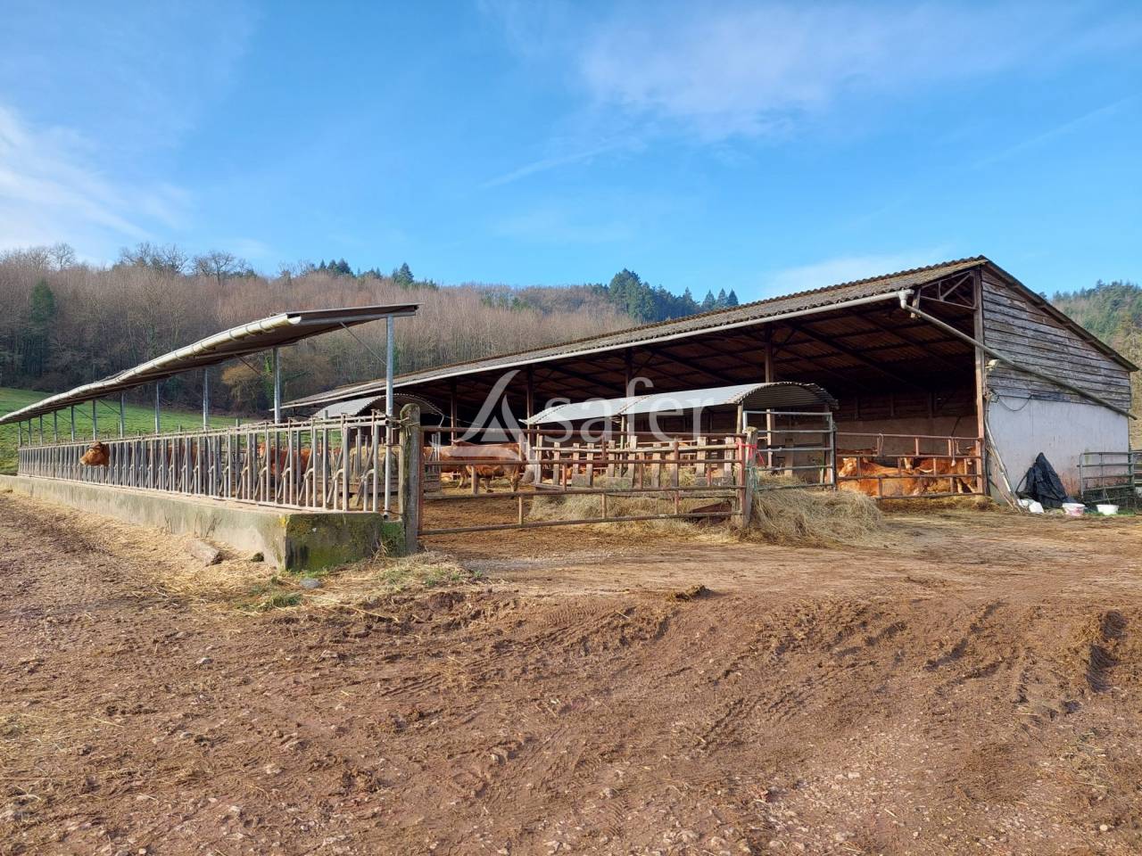 Propriété à rénover sur 60ha avec étang, proche Terrasson