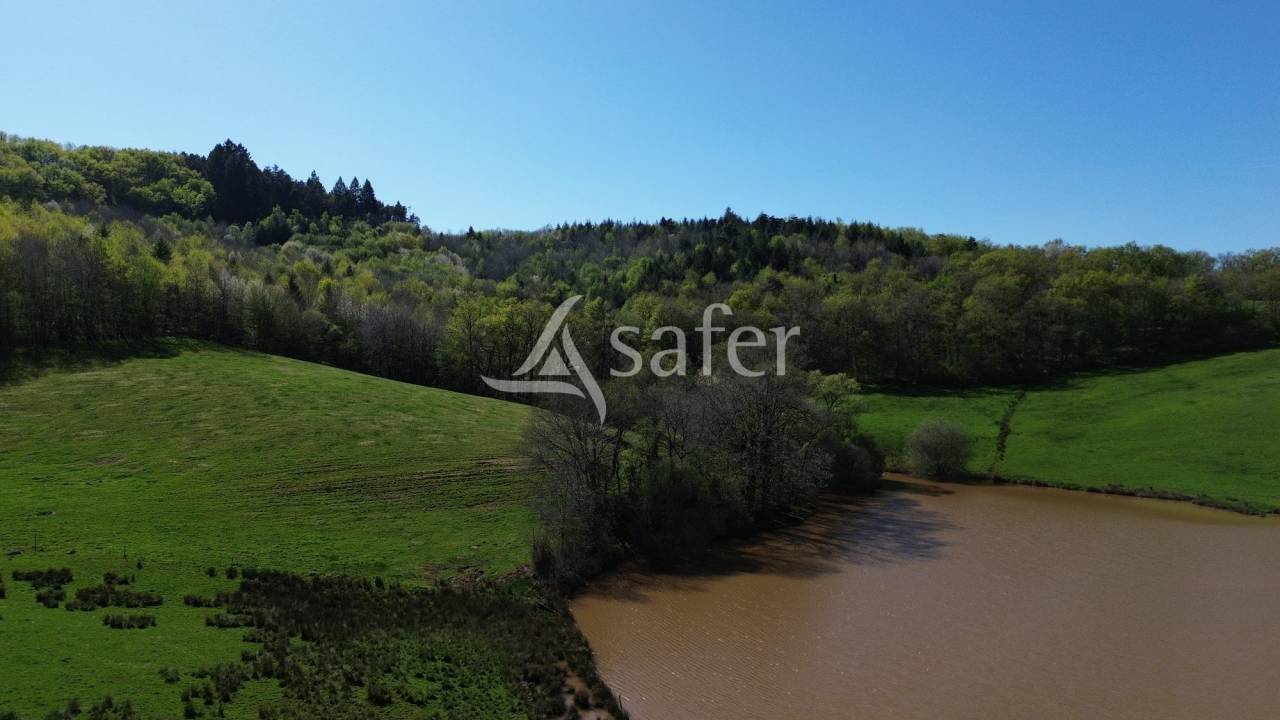 Propriété à rénover sur 60ha avec étang, proche Terrasson