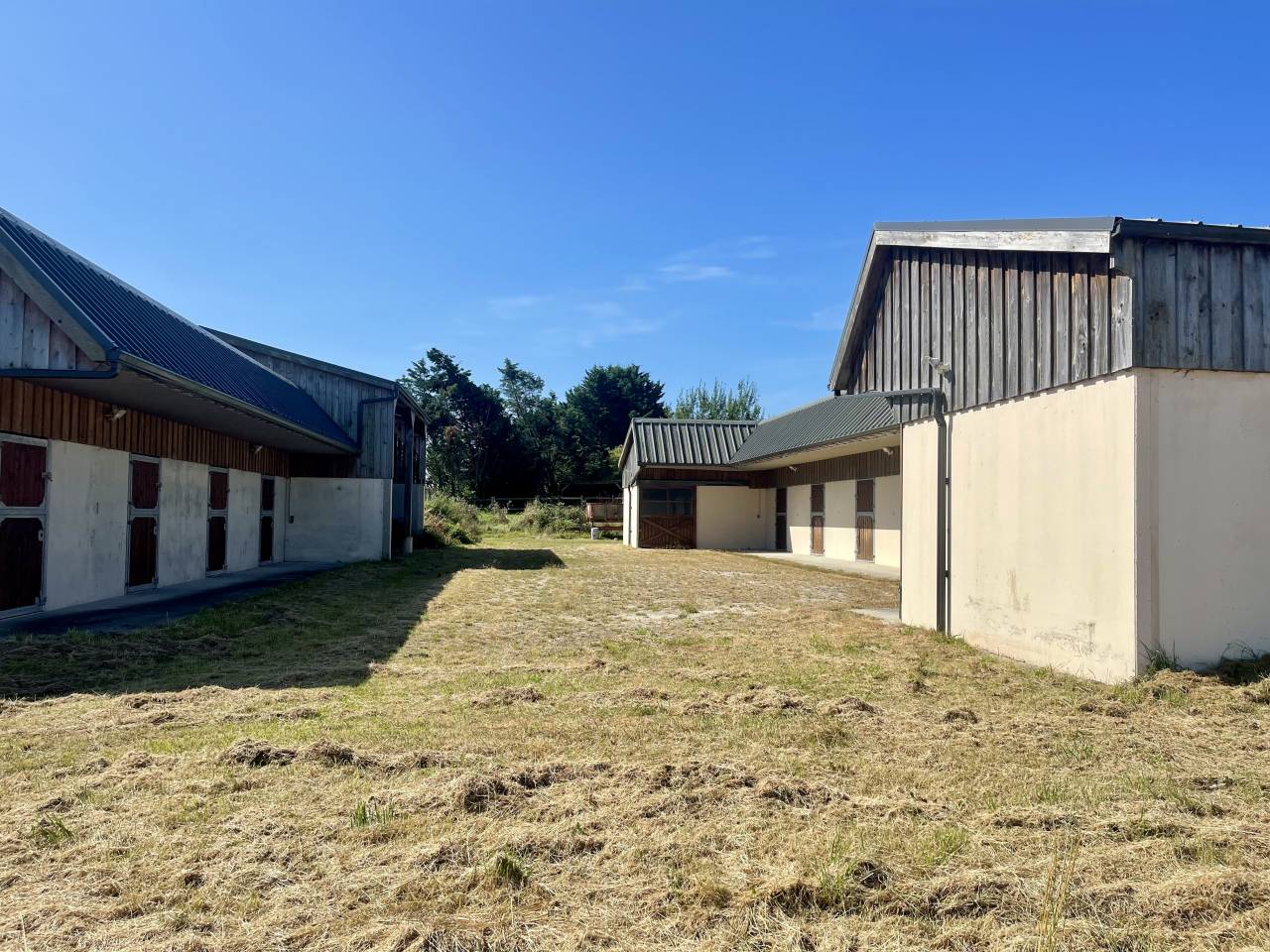 HARAS DU PIN - MAISON, 10 BOXES, DEPENDANCES, 5 HA