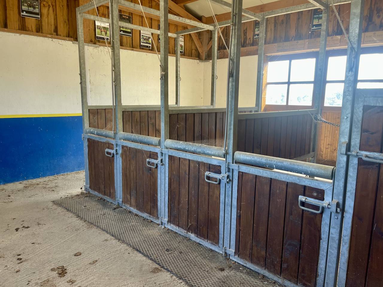 HARAS DU PIN - MAISON, 10 BOXES, DEPENDANCES, 5 HA