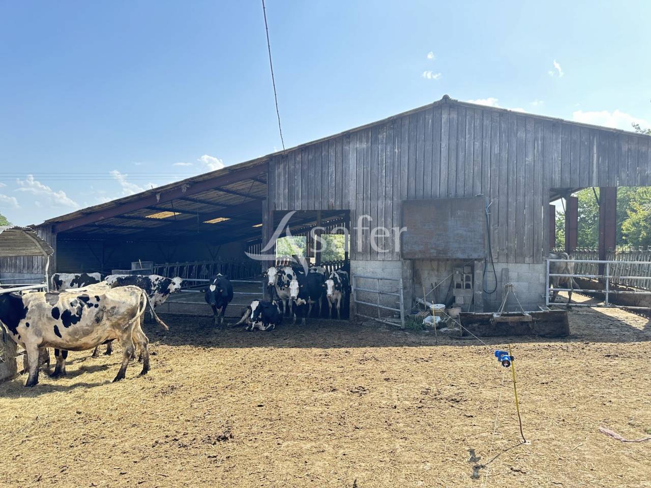 Exploitation Laitière 57 hectares