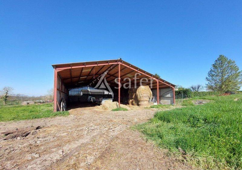 SUD GIRONDE - propriété ELEVAGE sur 15 hectares