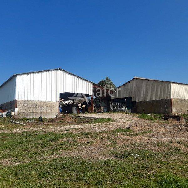 SUD GIRONDE - propriété ELEVAGE sur 15 hectares