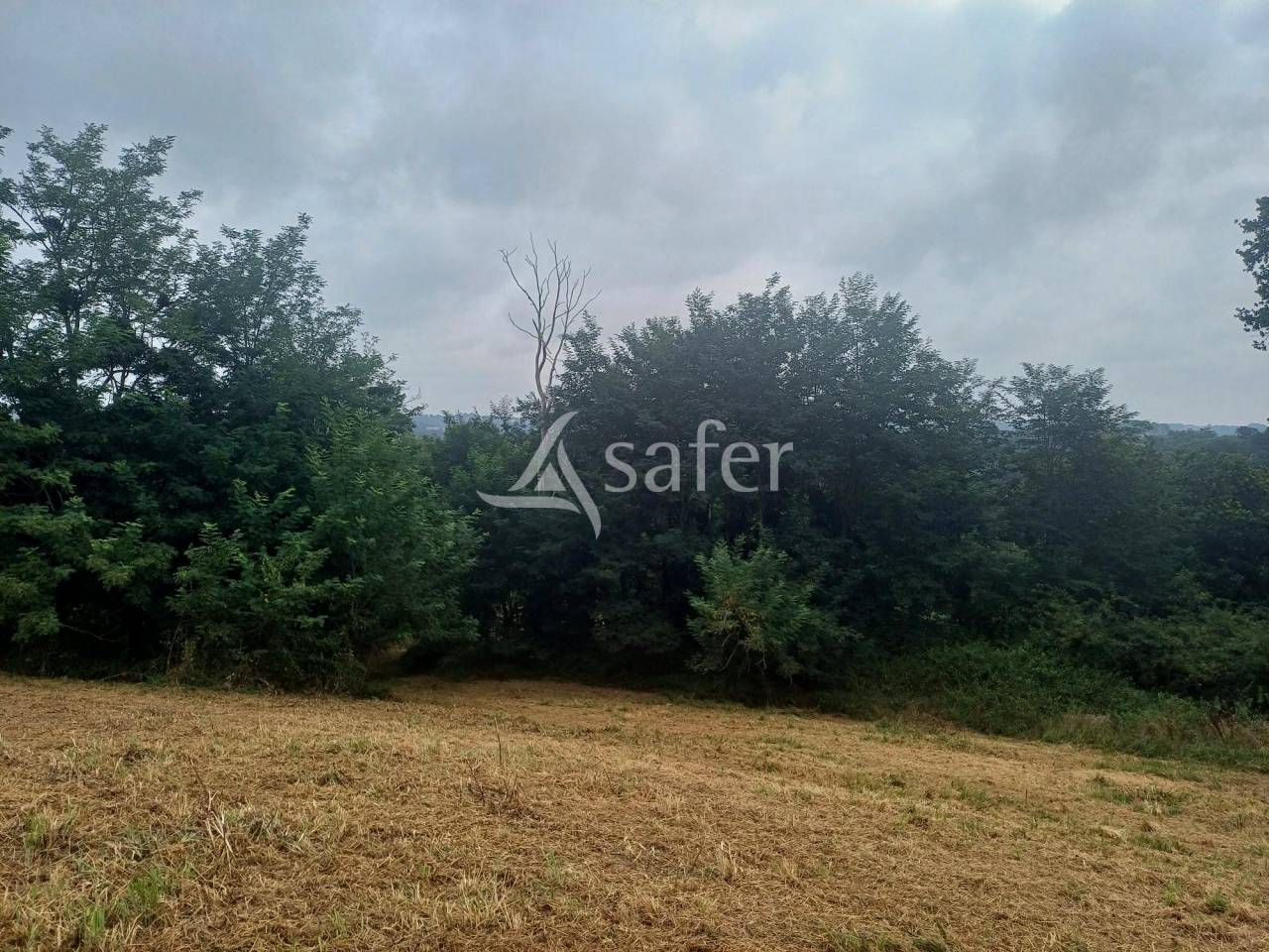 Propriété avec bâtiments élevage + maison POYARTIN