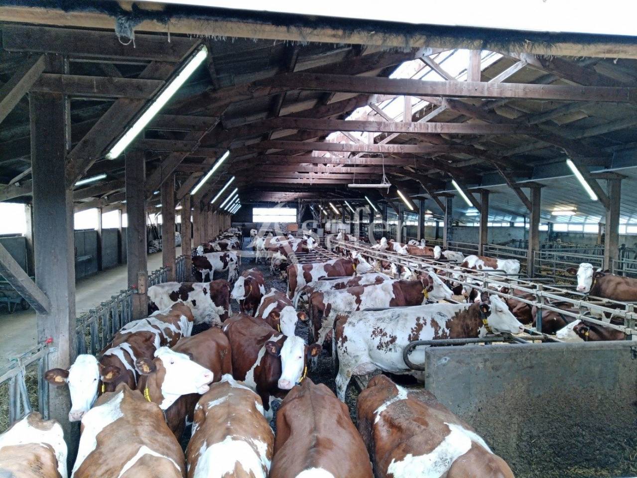 Transmission d'exploitation sur CHANTERELLE