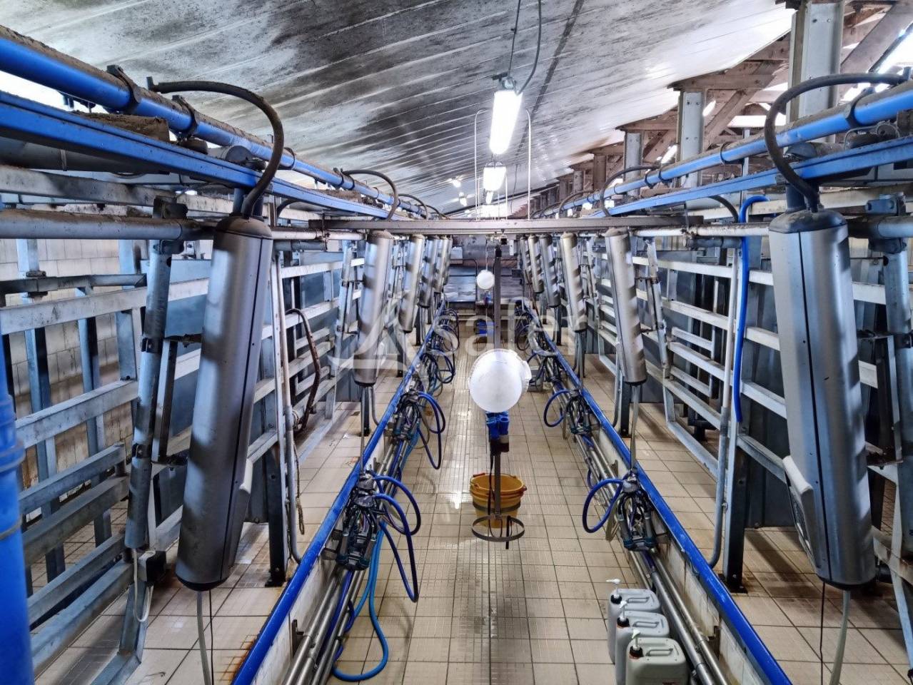 Transmission d'exploitation sur CHANTERELLE