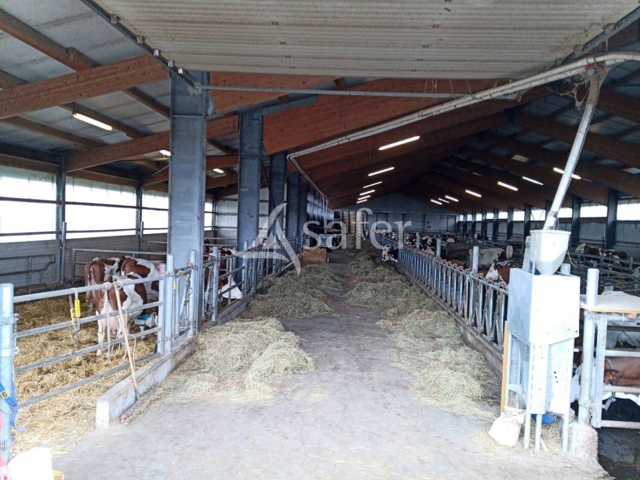 Transmission d'exploitation sur CHANTERELLE