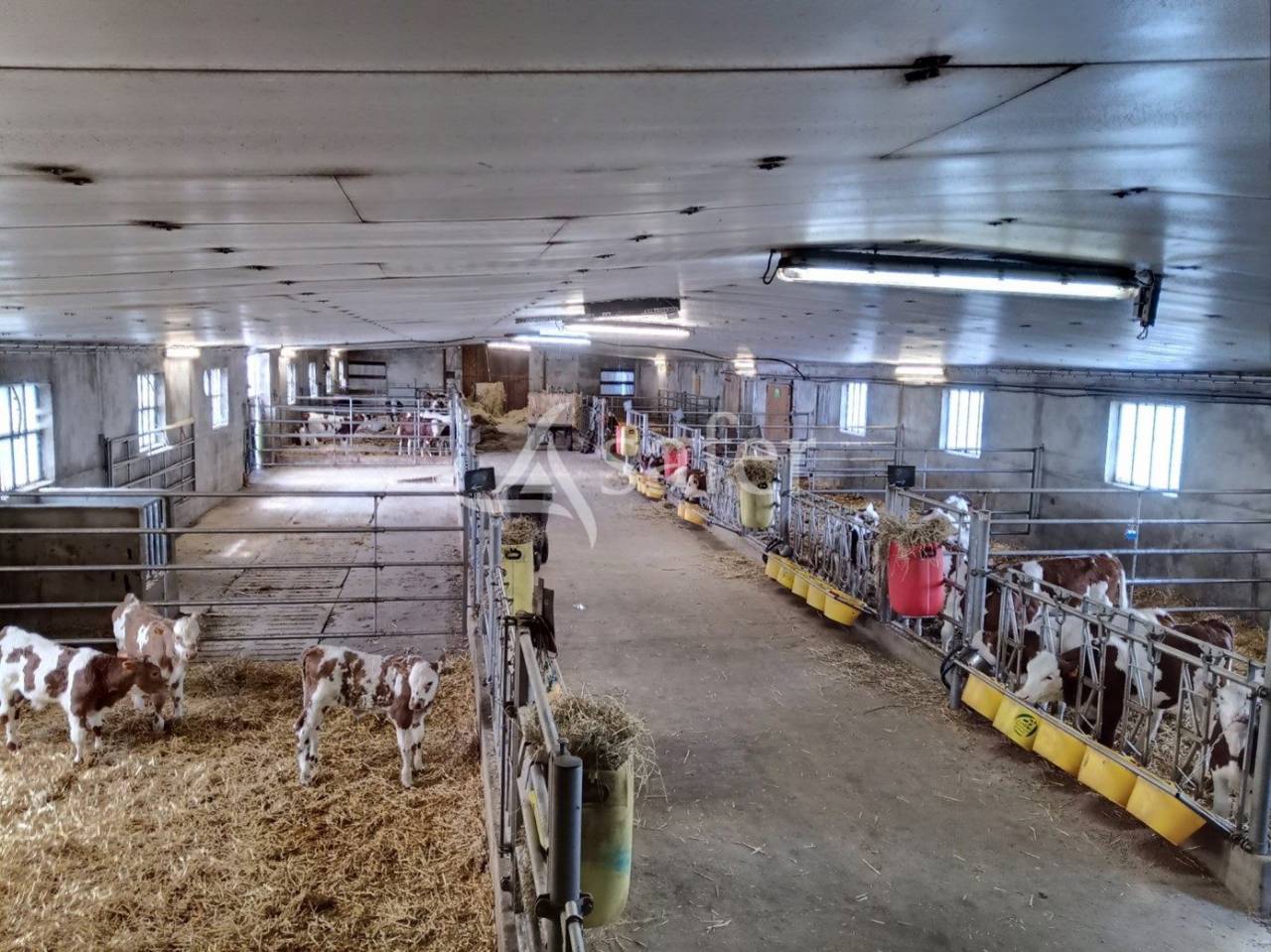 Transmission d'exploitation sur CHANTERELLE