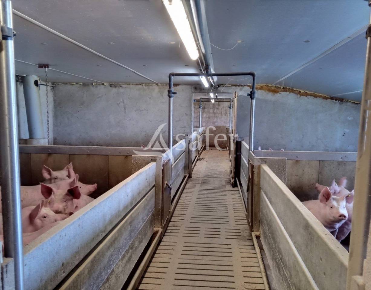 Transmission d'exploitation sur CHANTERELLE