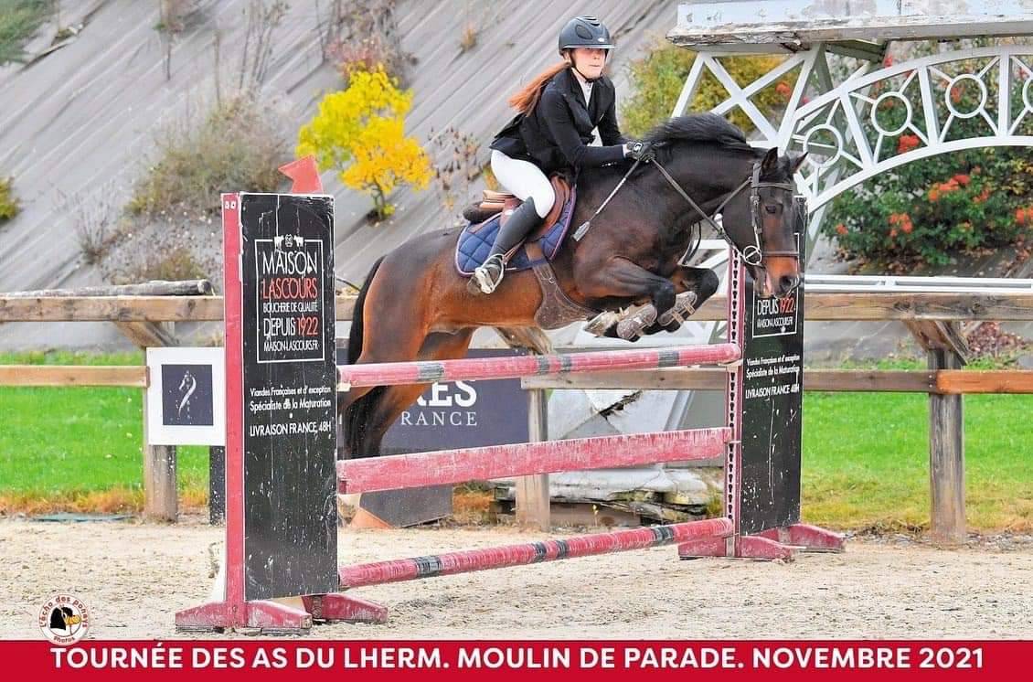 Vlashorst Arbalou Etalon Sport et Moderne