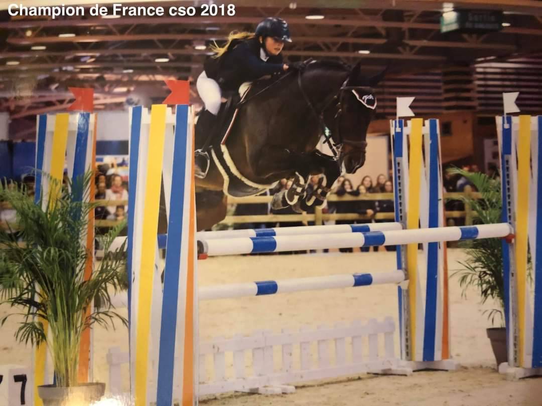 Vlashorst Arbalou Etalon Sport et Moderne