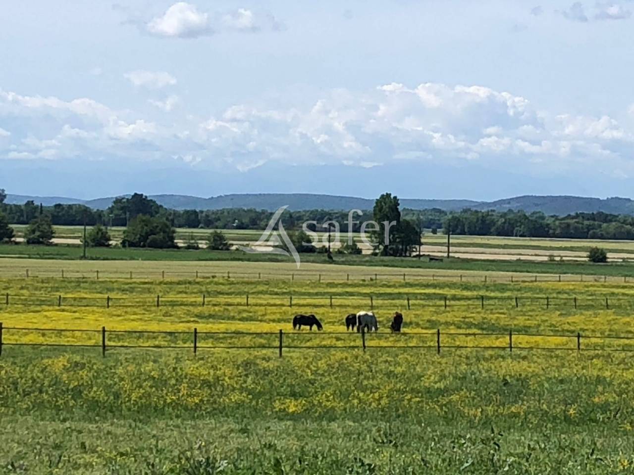 Proche Tarbes - Haras en activité