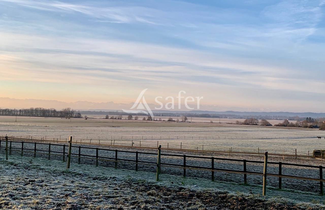 Proche Tarbes - Haras en activité