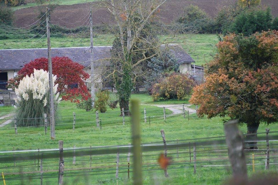 Propriété équestre de 13 hectares (14)