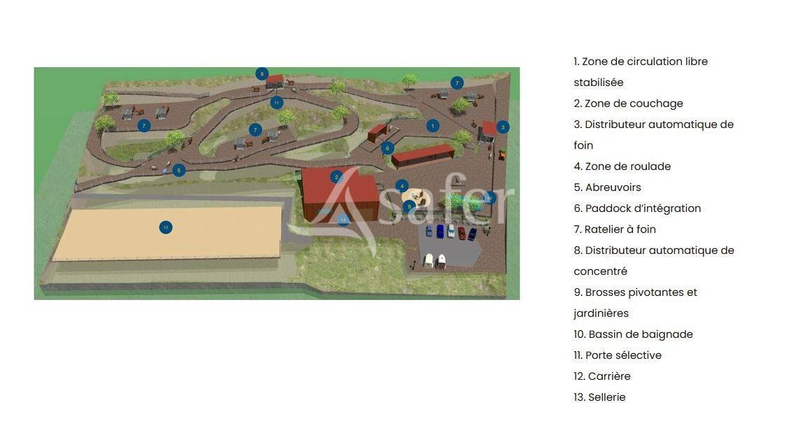 Ecurie active professionnelle dans le Val de Villé