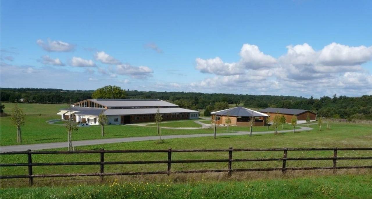 Stage Perfectionnement dressage à saumur