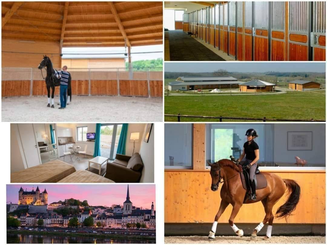 Stage Perfectionnement dressage à saumur