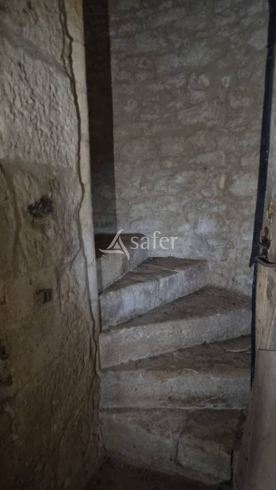 Propriété de 26 ha avec Château à rénover