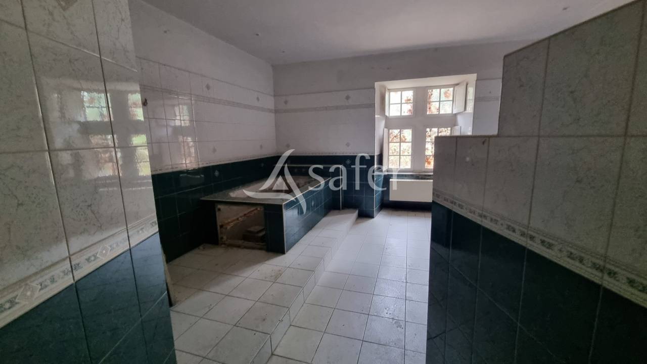 Propriété de 26 ha avec Château à rénover