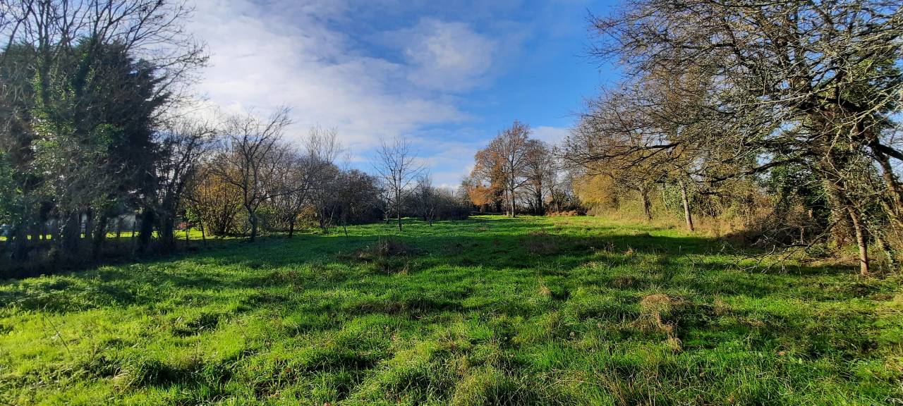 Maison de famille idéale chevaux 20 mn Parthenay (79)