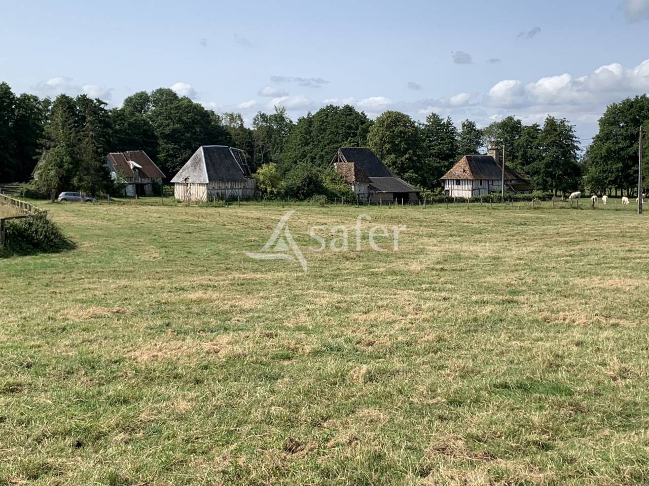 Propriété Herbagère 35ha Pays d'Auge