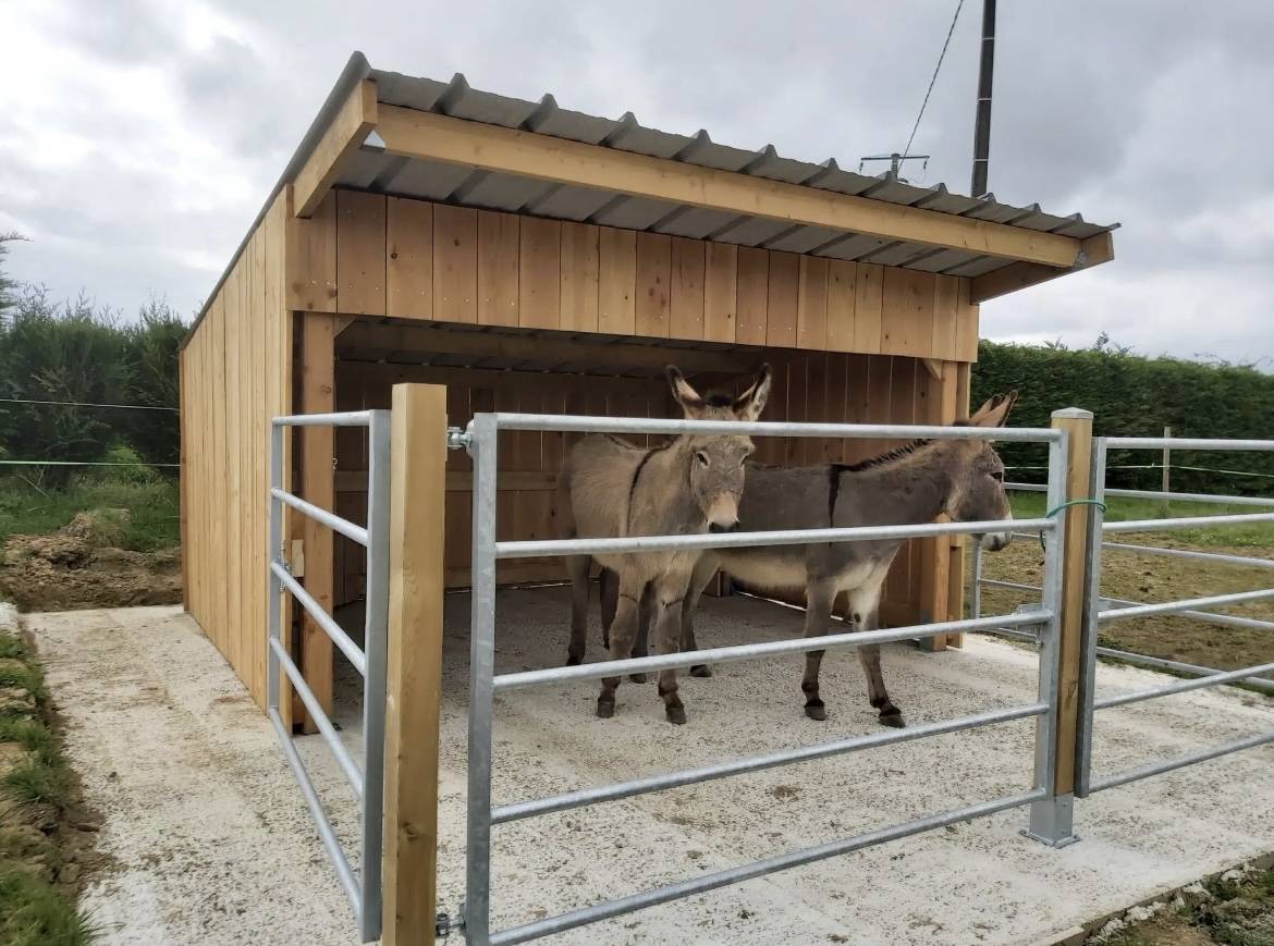 ABRI CLASSIC EN BOIS DOUGLAS