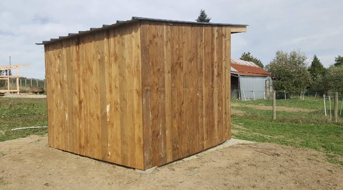 ABRI CLASSIC EN BOIS DOUGLAS