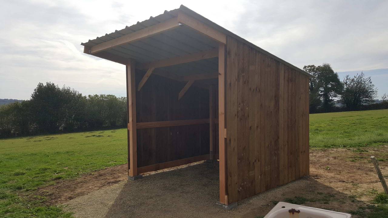 ABRI CLASSIC EN BOIS DOUGLAS