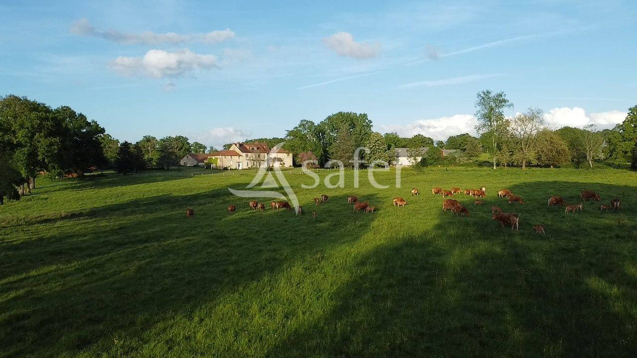 Propri&eacute;t&eacute; de caract&egrave;re avec g&icirc;tes et 125 hectares
