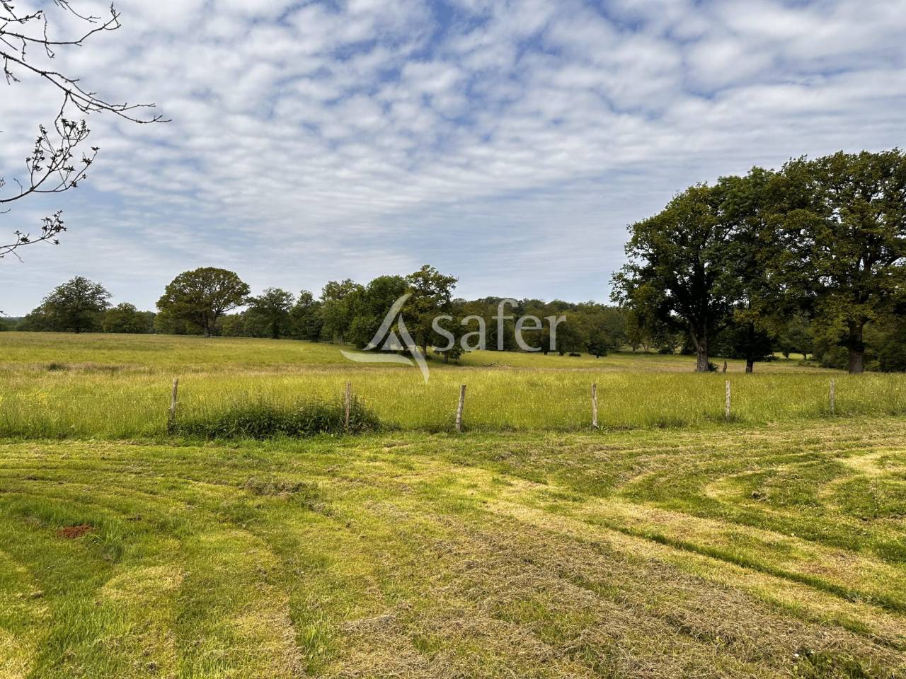 Propri&eacute;t&eacute; de caract&egrave;re avec g&icirc;tes et 125 hectares