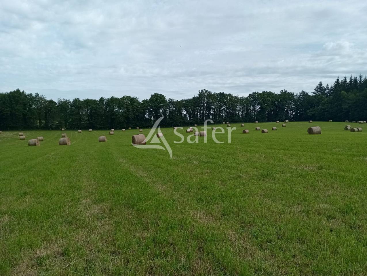 En Creuse, en limite de la Haute-Vienne, propriété sur environ