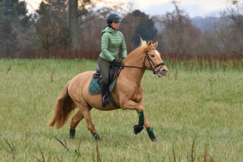 Etalon double pearl pour monte 2026