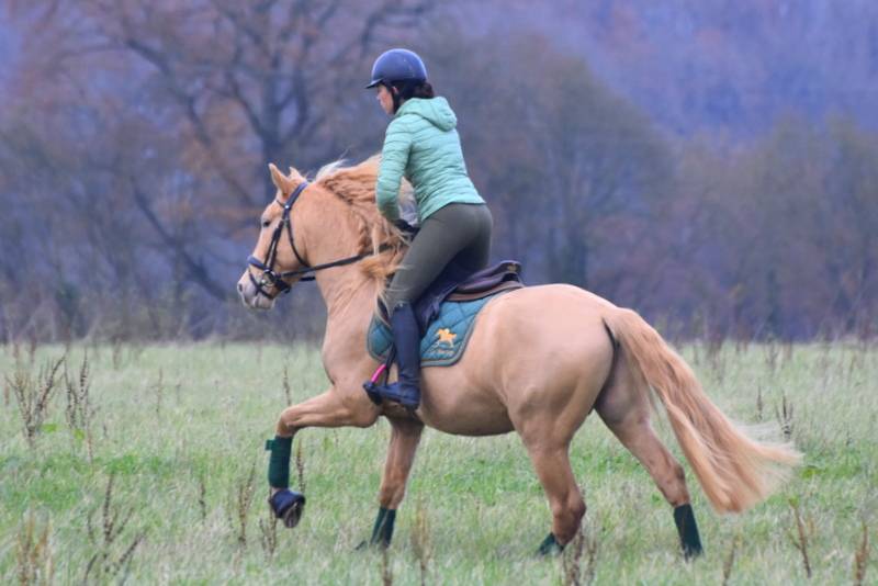 Etalon double pearl pour monte 2026