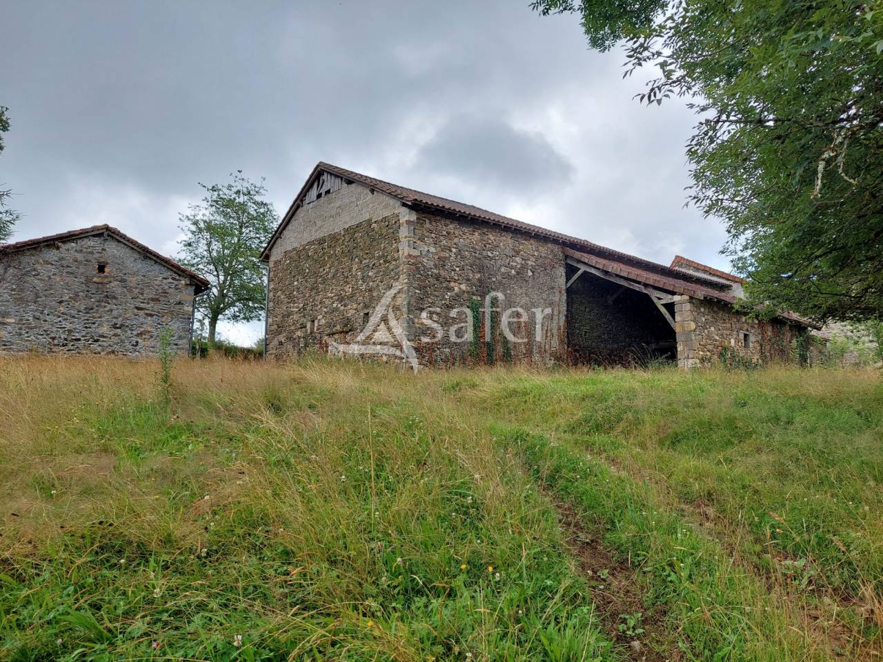 Corps de ferme sur 18ha avec plantation de Douglas