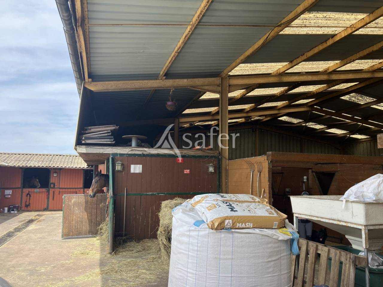 Centre équestre aux portes de Paris