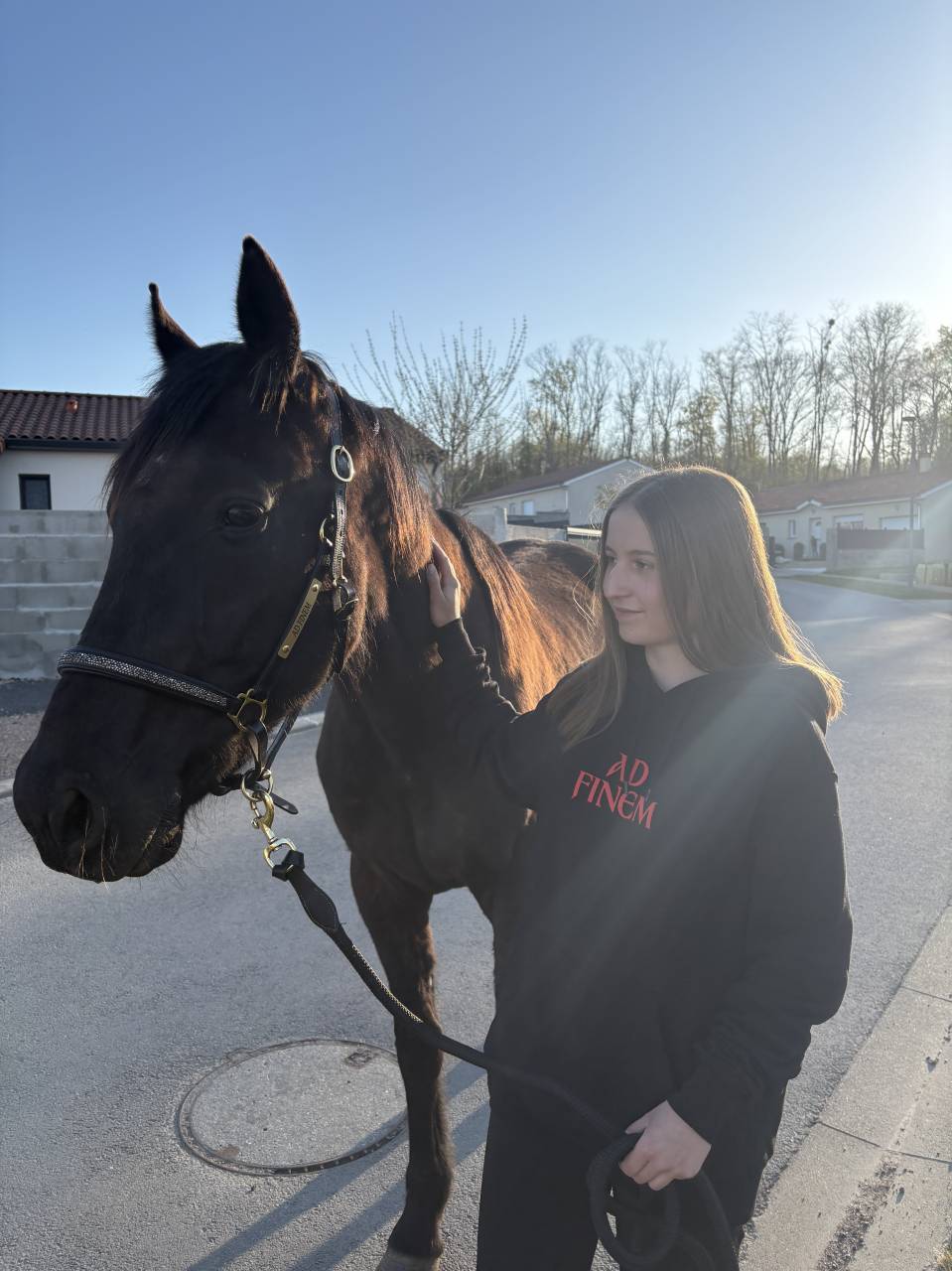 Recherche emploi palefrenier soigneur