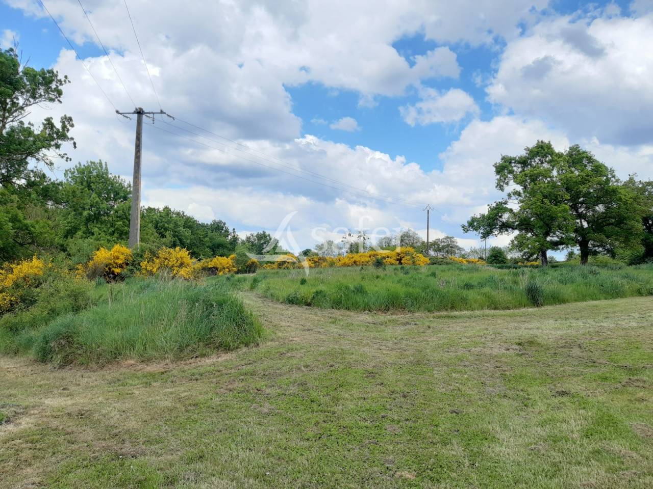 Propriété Rurale sur 4 ha (Possibilité BIO)