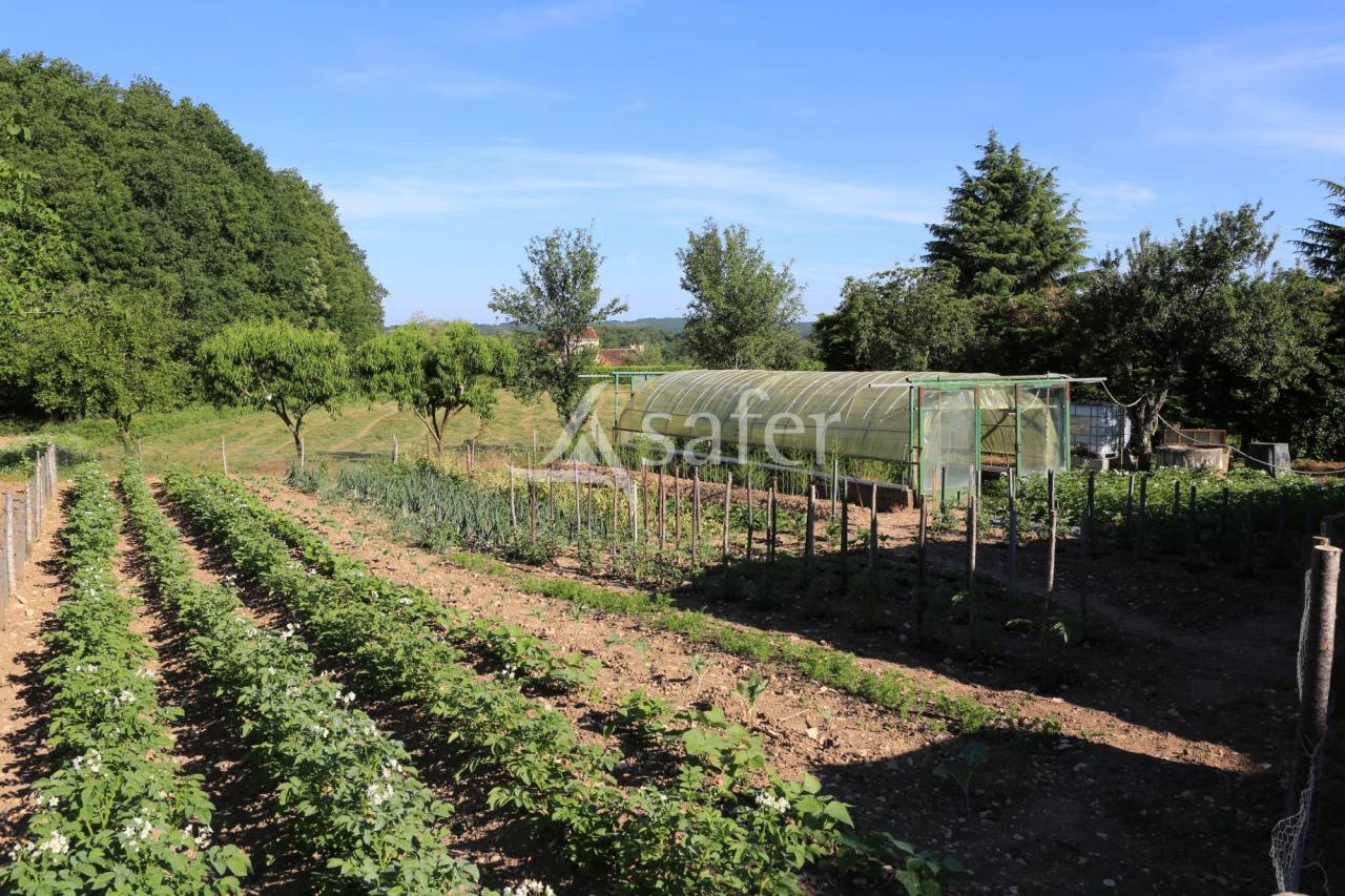 Propri&eacute;t&eacute; quercynoise sur 5 ha proche Cahors et A20