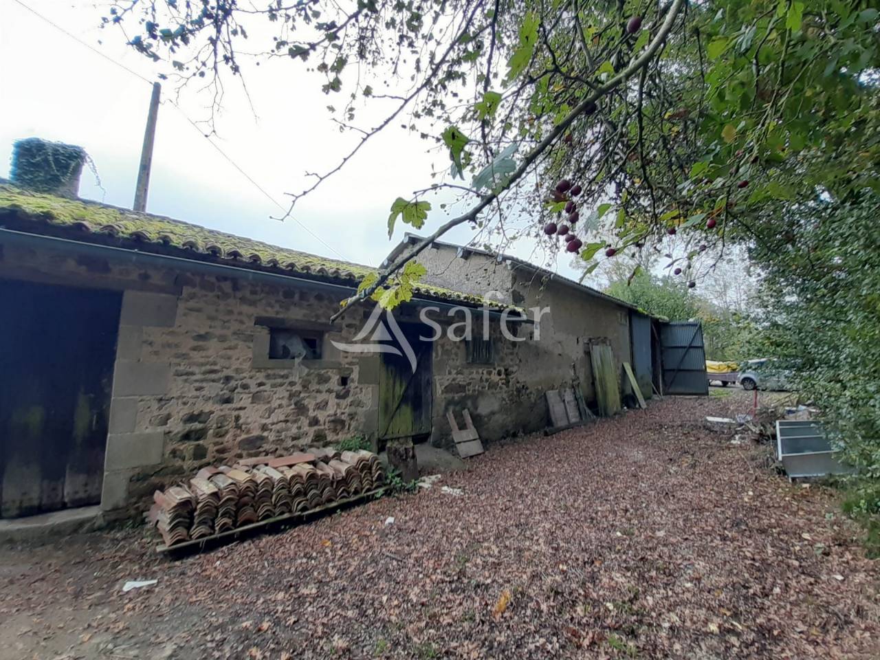 Maison en Campagne sur 16 ha