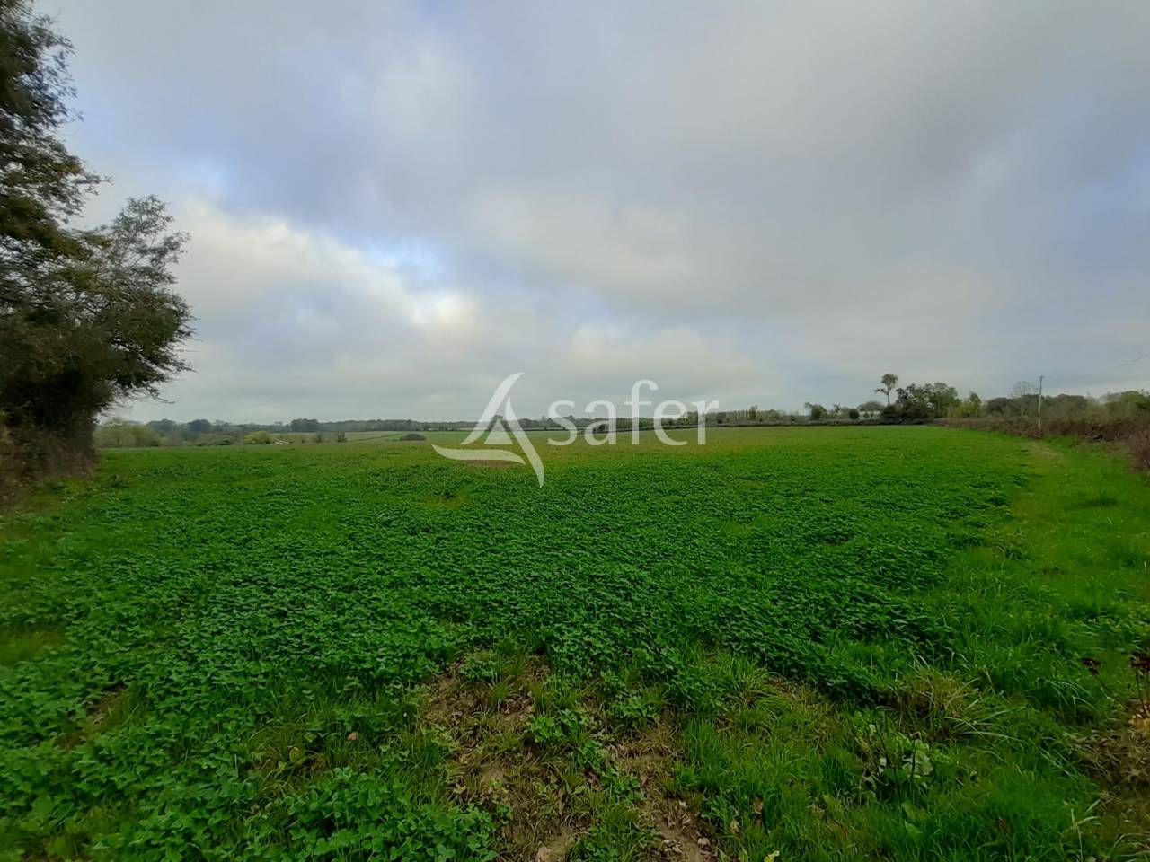 Maison en Campagne sur 16 ha