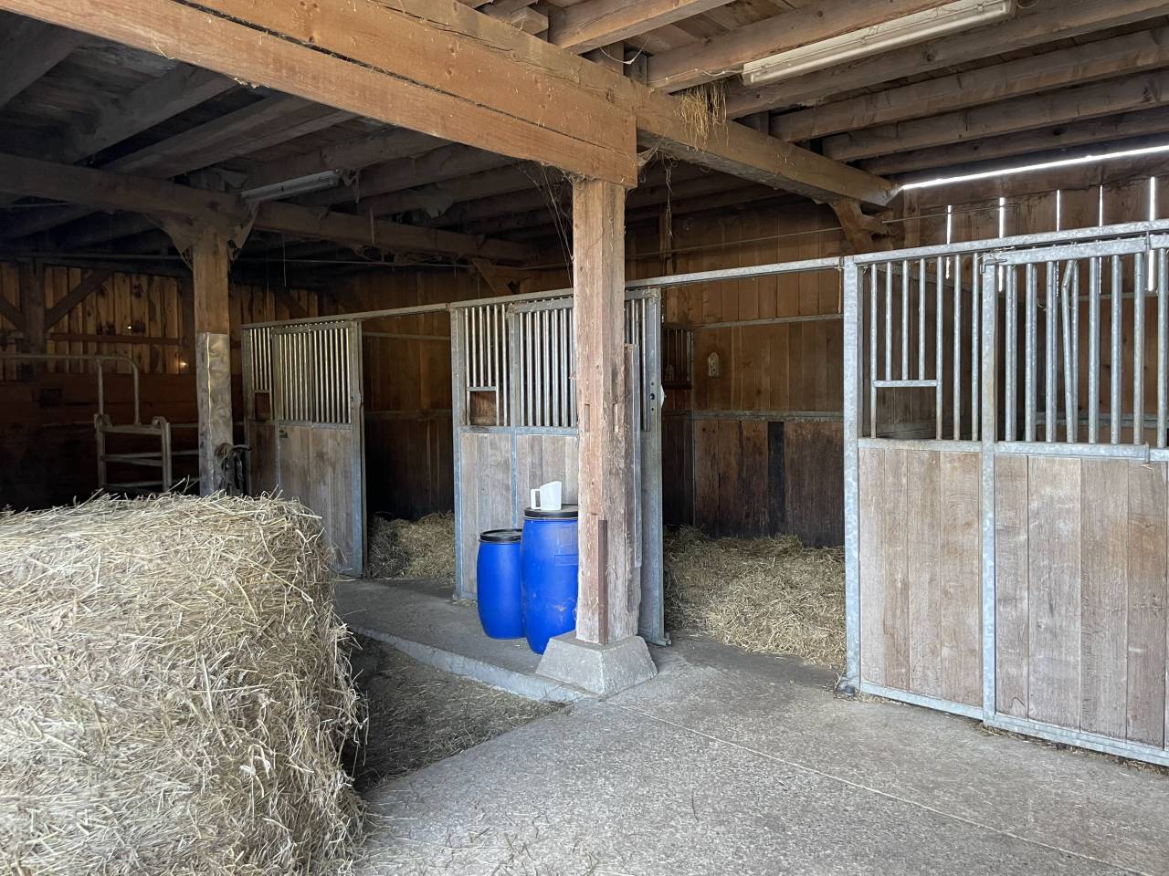 Pensions aux Franches-Montagnes